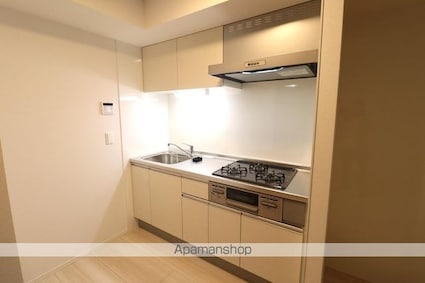 セレスティア西台Ｂ[1LDK/40.46m2]のキッチン