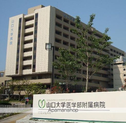 椎山マンションの周辺写真
