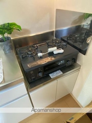 サウス・ヴィレッジＡ・Ｂ[1LDK/45.93m2]の内装4