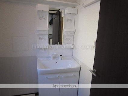 サントピア西大津Ｃ棟[2LDK/70.61m2]の洗面所