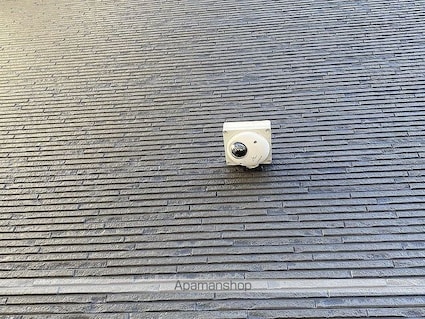 クレイノファレノプシス[1K/25.09m2]のキッチン