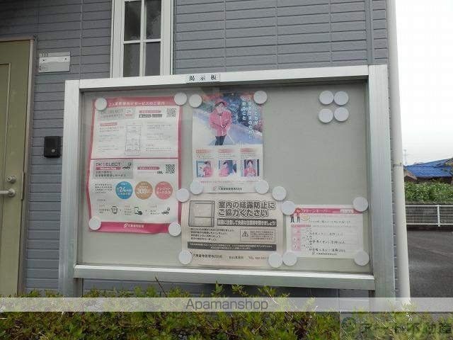 サンフラワーのその他写真