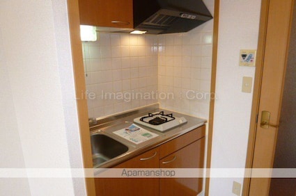 リバーレイクヒルズ[1K/25.97m2]のキッチン