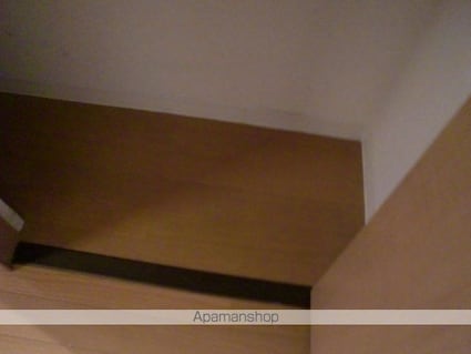 セレ板橋本町[1K/22.35m2]の収納