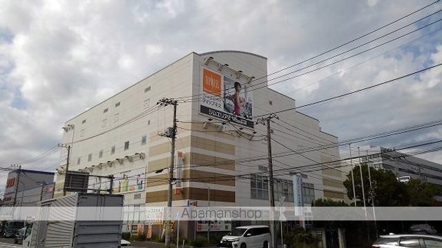 サイネリアの周辺写真