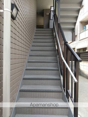 ピソ クリサンテモのその他写真