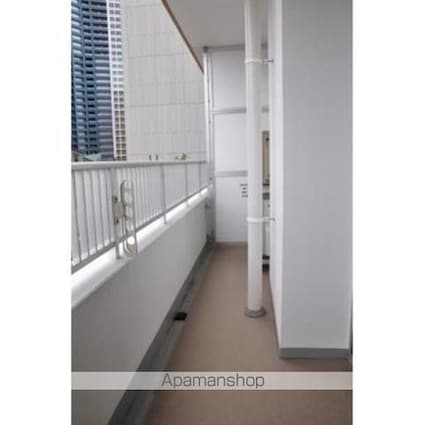 パークアクシス豊洲キャナル[1LDK/46.28m2]のバルコニー