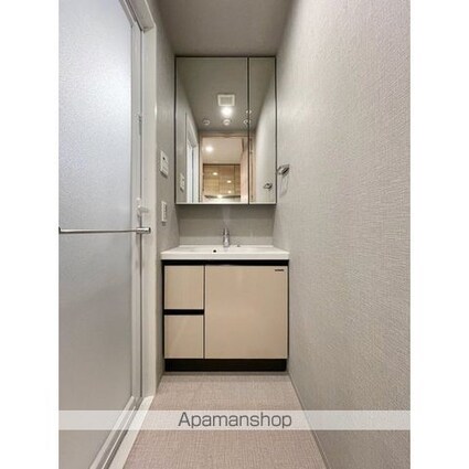 ルフォンプログレ浅草入谷[1K/25.64m2]の洗面所