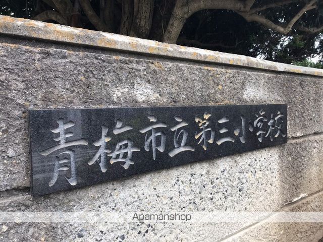 プラシードアルバVの周辺写真