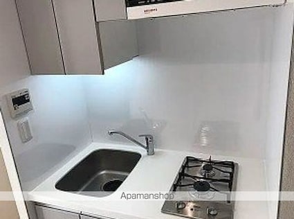 パークアクシス辰巳ステージ[1K/30.62m2]のキッチン