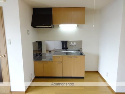 ピュアパレス豊川（ピュアパレストヨカワ）[1LDK/35.64m2]のキッチン