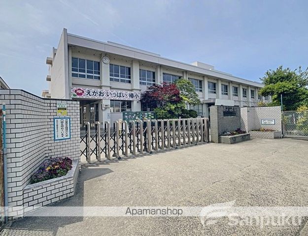 予讃線 市坪駅 徒歩8分 1階建 築42年の周辺写真