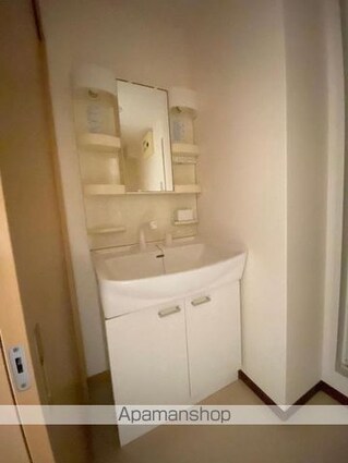 フォブールつるうち[2LDK/59.28m2]の洗面所