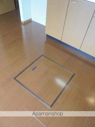 和歌山県和歌山市六十谷[2DK/47.69m2]の内装6