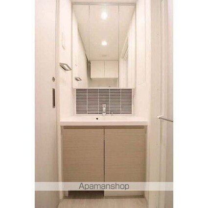 スタイリオ池上ＳＯＵＴＨ[1LDK/39.19m2]の洗面所