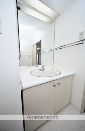 コスモ拝島[3LDK/59.56m2]の洗面所