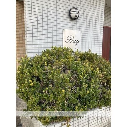 ＢＡＹ[1K/24.6m2]の共用部