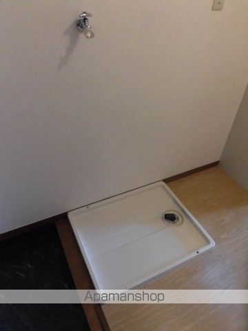 オアシスのその他写真
