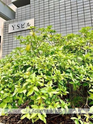 ＹＳビル[3DK/75.22m2]の外観6