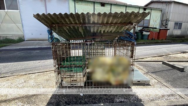 コスモハイツAのその他写真