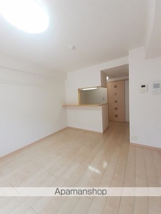 ヴィアーレ　光南[1R/31.46m2]の内装1