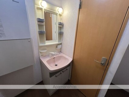 ヒーローマンションアイリス[1LDK/42.46m2]の洗面所