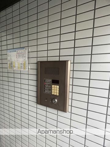 フォーマルハウトのその他写真