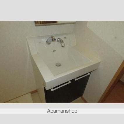 サンテラス[1LDK/40.6m2]の洗面所