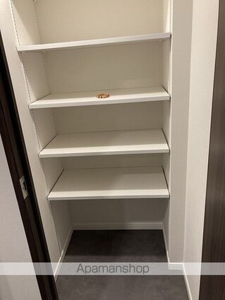 ラティエラ上野入谷[2LDK/50.22m2]の収納