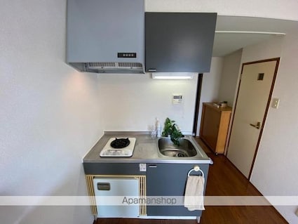 フェニックス紙町[1R/19.8m2]のキッチン