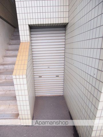 セレナイトのその他写真