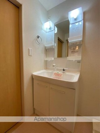 ミューズ林　Ａ[2LDK/66.02m2]の洗面所