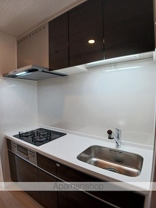 ラクーン守山[1LDK/42.59m2]のキッチン