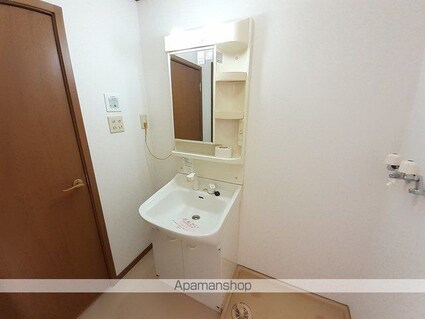 シャンホール　Ｂ[2DK/51.67m2]の洗面所