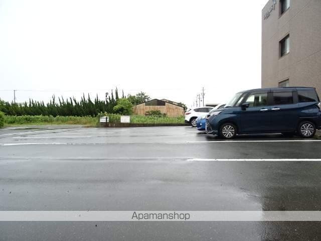 ルピナスのその他写真