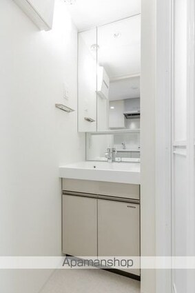 テラス大崎[1K/21.03m2]の洗面所