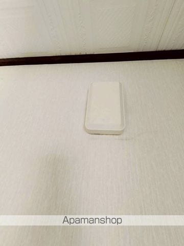 桜ハイツ・リエの内装写真