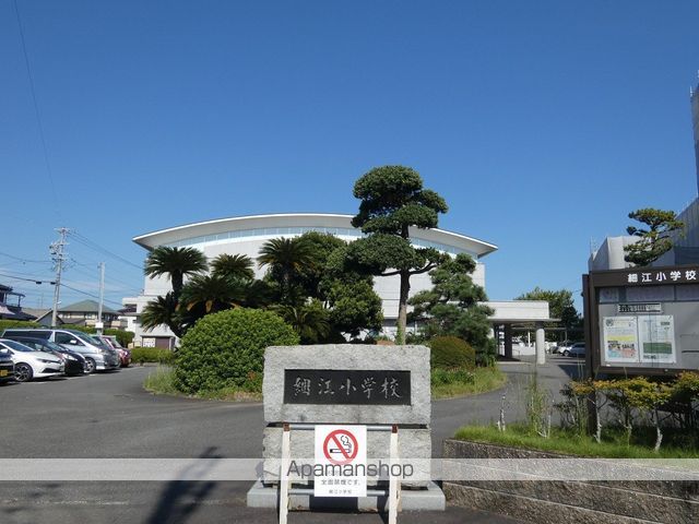 プリムローズ 2011の周辺写真