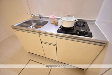 ルミナス[1LDK/31.15m2]のキッチン