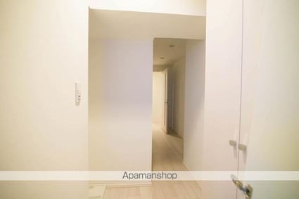 ラフィスタ錦糸町Ⅱ[1R/25.59m2]のその他内装8