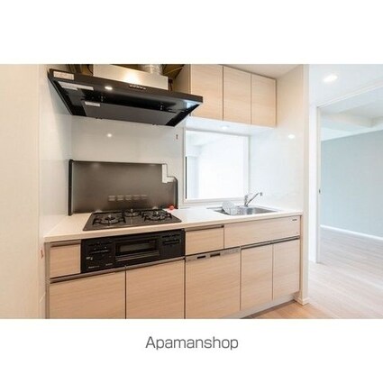 市谷台町坂フロント[2LDK/46.92m2]のキッチン