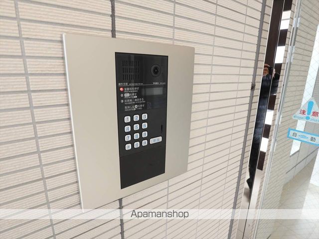 ゼルコバのその他写真