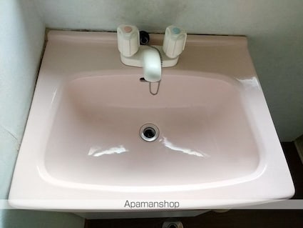 岡田マンション[3K/49.26m2]の洗面所