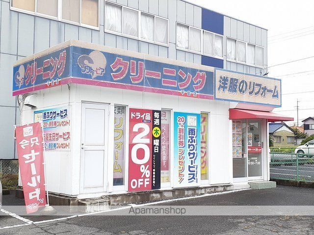 アンソリュームの周辺写真