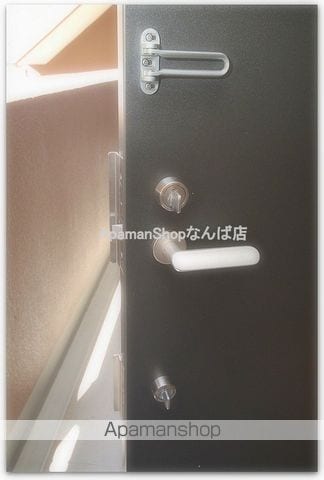 メゾンデノムラ島之内の内装写真
