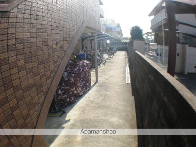 アムールカセイのその他写真