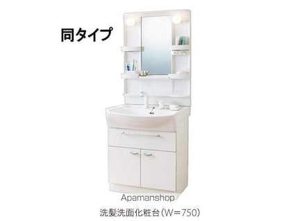 グリーン・サンリット[2LDK/58.67m2]の洗面所