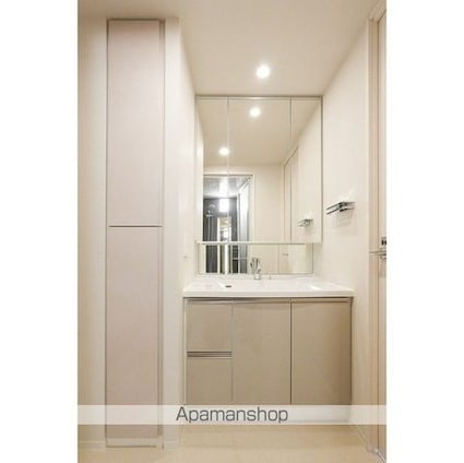 ルフォンプログレ門前仲町プレミア[2LDK/43.73m2]の洗面所