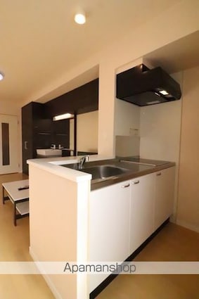 レオネクストミント[1R/33.7m2]のキッチン