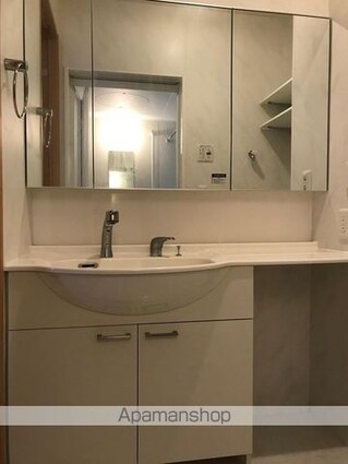 エルサ浜田山[1LDK/36.94m2]の洗面所